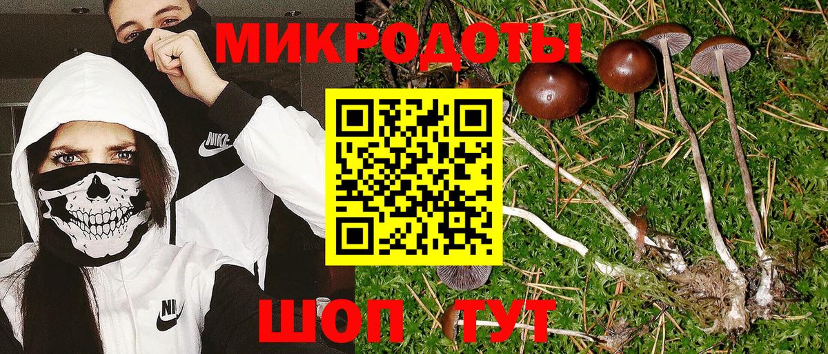 Шебекино  как найти наркотики  Вход с VPN  Галлюциногенные грибы мицелий 